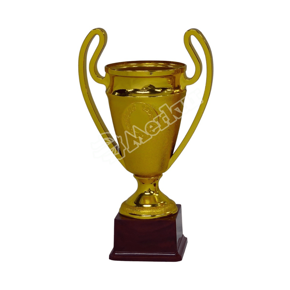 COPA CHAMPIONCITO DORADO - 33 CM