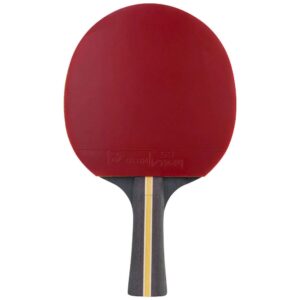 RAQUETA DE TENIS DE MESA 2 ESTRELLAS STIGA MODELO TRINITY V2 3 - PING PONG